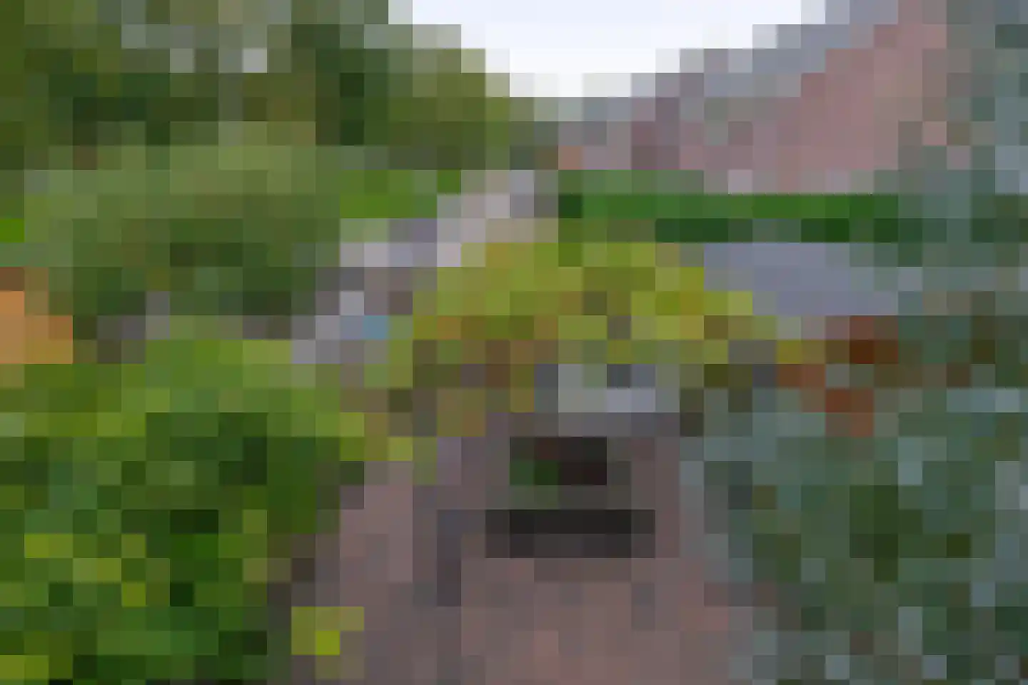 Eisenhowerlaan 5 Oude-Tonge thumbnail 42