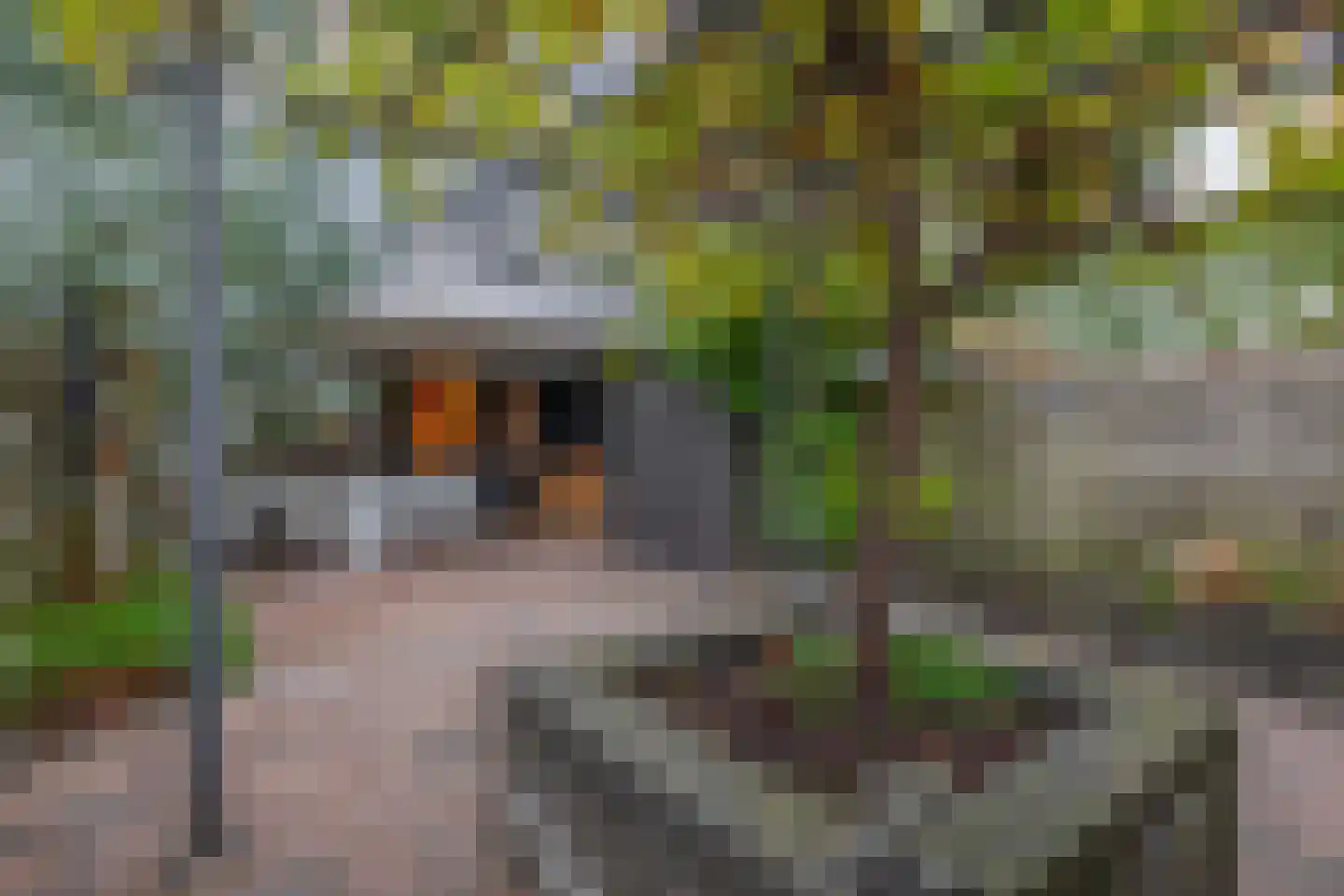 Eisenhowerlaan 5 Oude-Tonge thumbnail 44