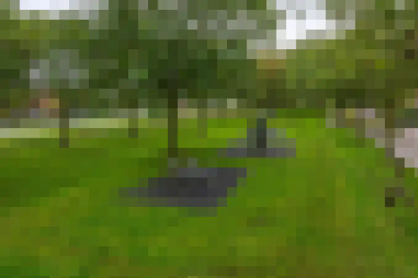 Eisenhowerlaan 5 Oude-Tonge thumbnail 46