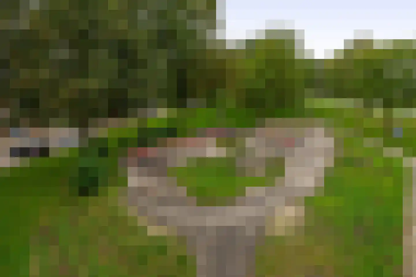 Eisenhowerlaan 5 Oude-Tonge thumbnail 47