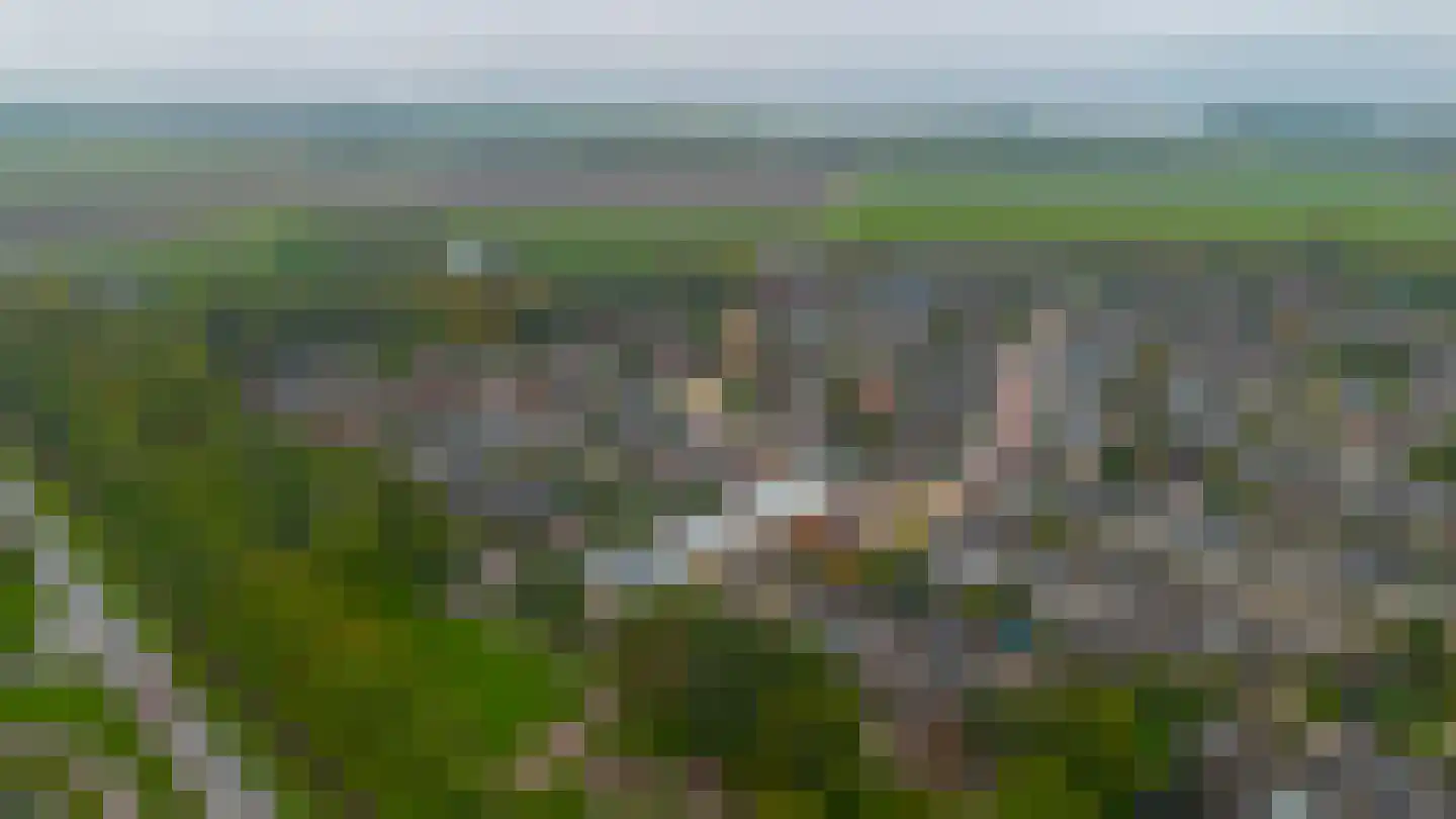 Eisenhowerlaan 5 Oude-Tonge thumbnail 50