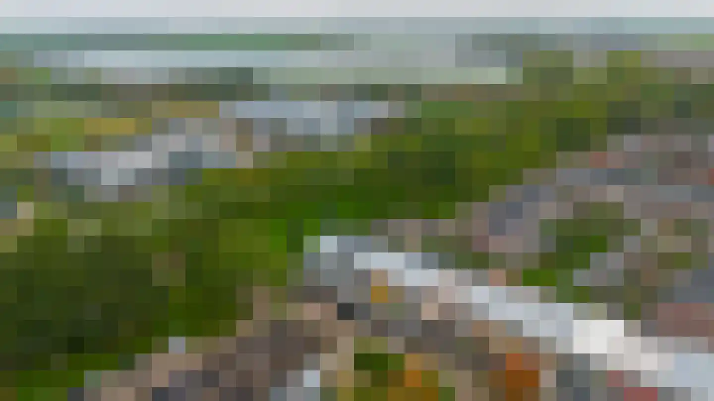 Eisenhowerlaan 5 Oude-Tonge thumbnail 51