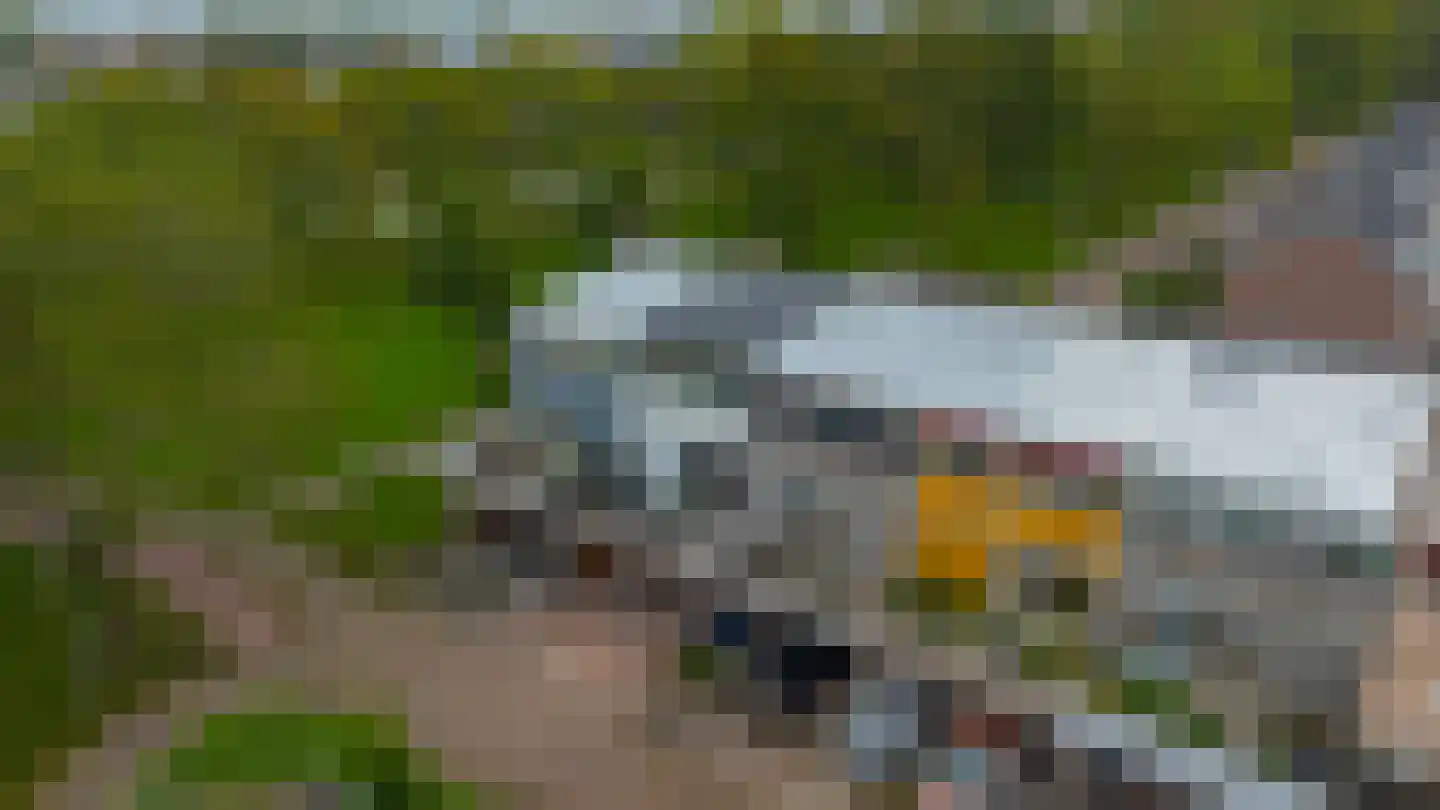 Eisenhowerlaan 5 Oude-Tonge thumbnail 52