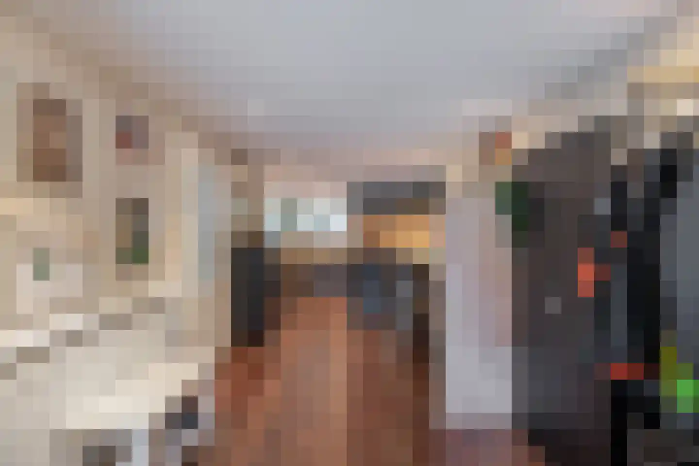 Eisenhowerlaan 5 Oude-Tonge thumbnail 8