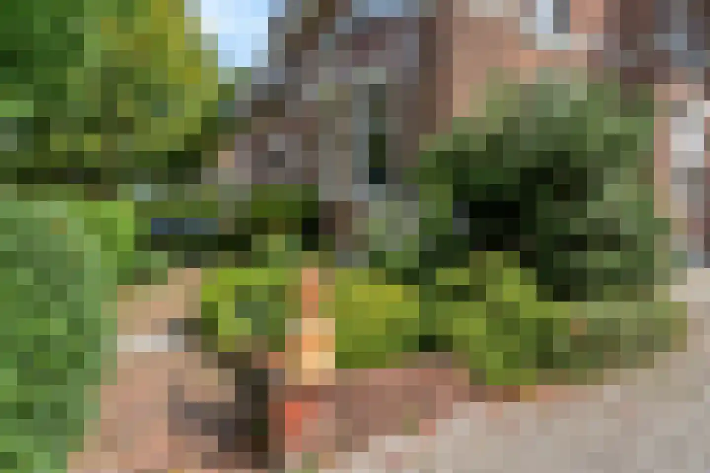 Eisenhowerlaan 51 A Den Haag thumbnail 6