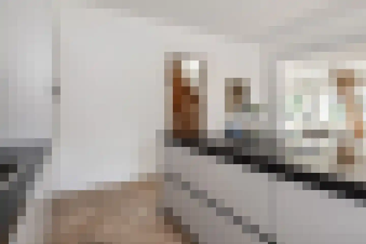 Eisenhowerlaan 51 B Den Haag thumbnail 13
