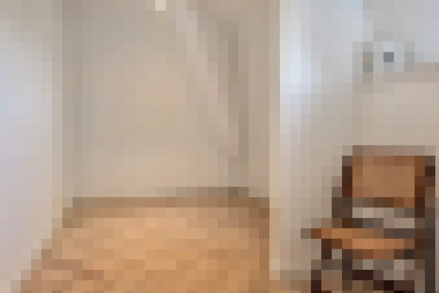 Eisenhowerlaan 51 B Den Haag thumbnail 18