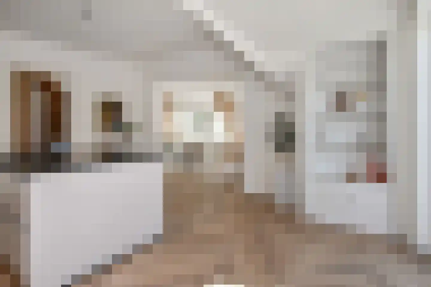 Eisenhowerlaan 51 B Den Haag thumbnail 5