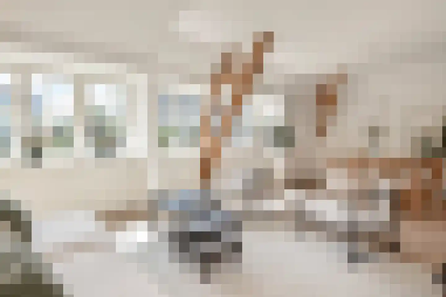 Eisenhowerlaan 51 B Den Haag thumbnail 9