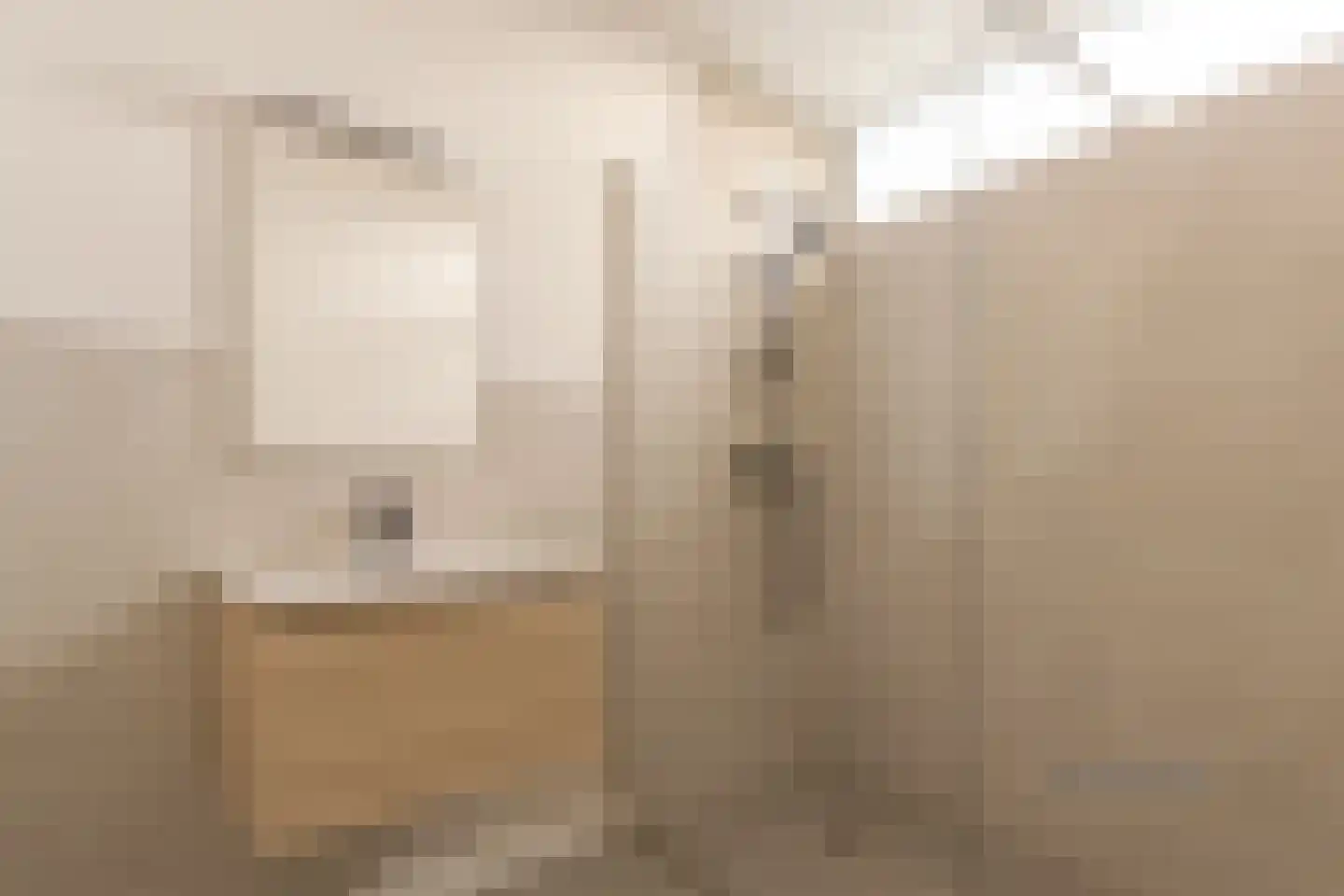 Eisenhowerlaan 52 Utrecht thumbnail 20
