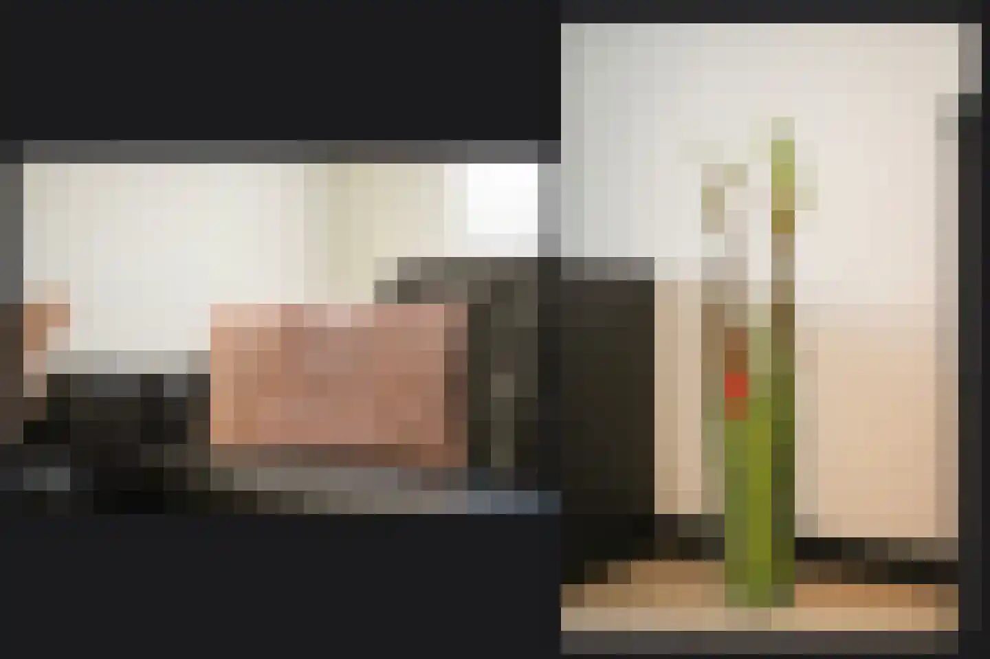 Eisenhowerlaan 55 Utrecht thumbnail 10
