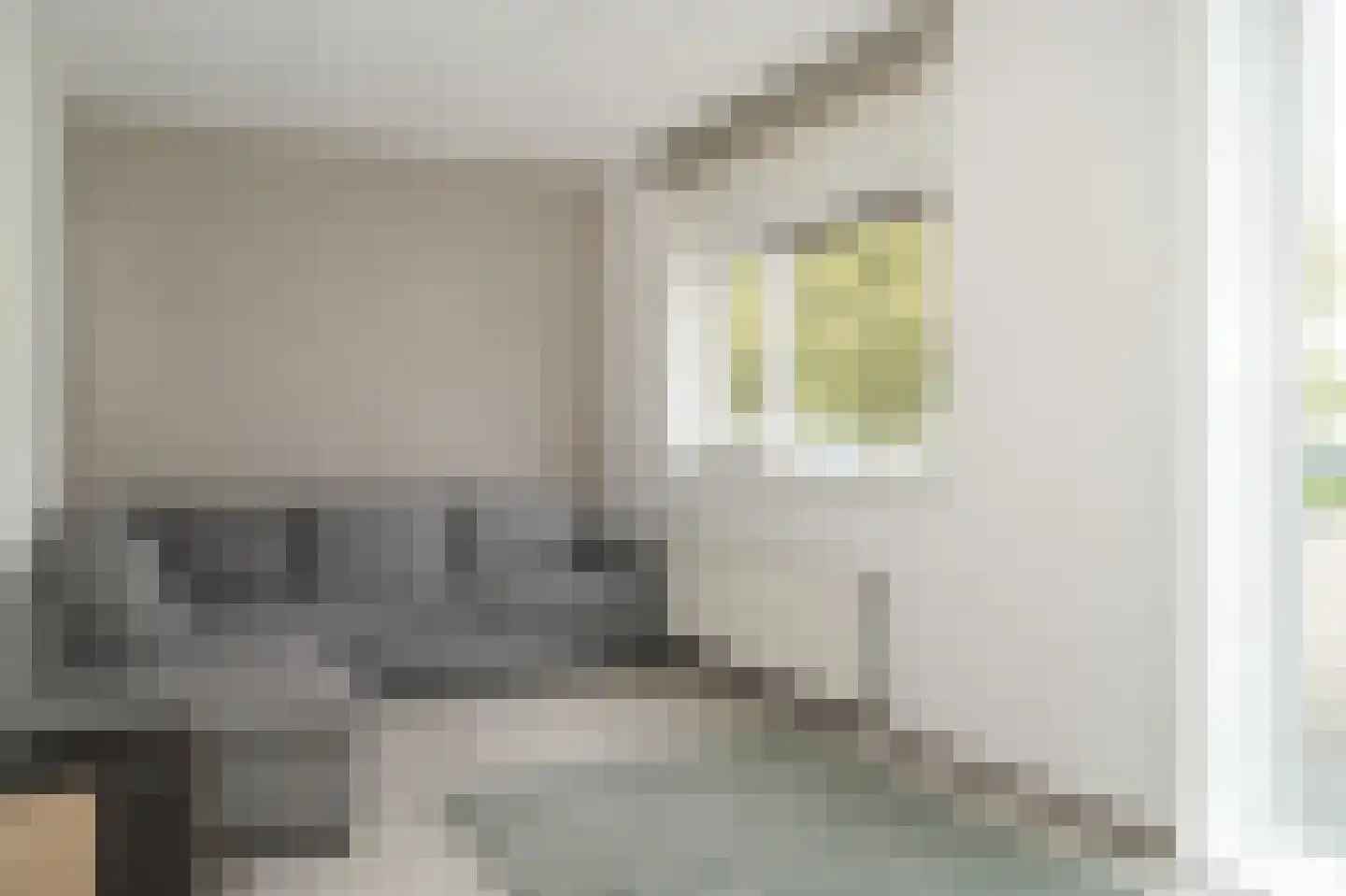 Eisenhowerlaan 55 Utrecht thumbnail 18