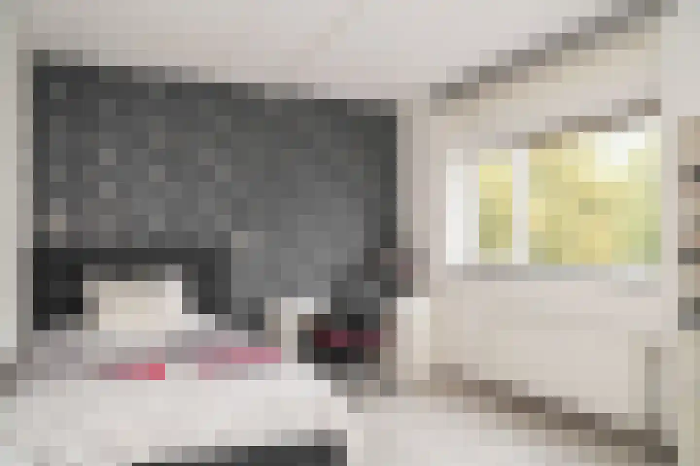 Eisenhowerlaan 55 Utrecht thumbnail 24