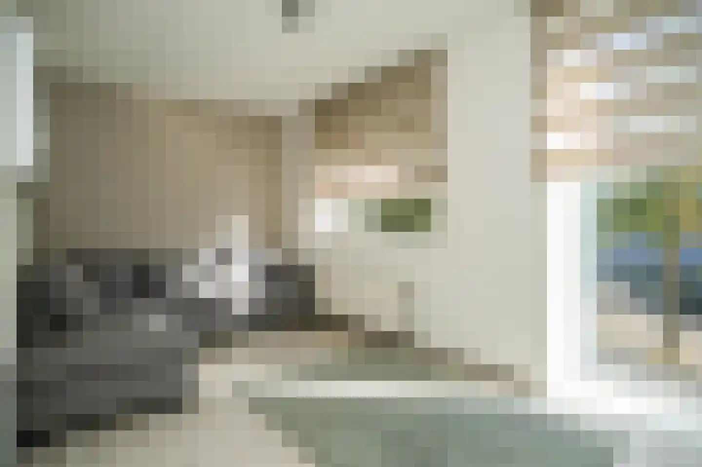 Eisenhowerlaan 55 Utrecht thumbnail 30