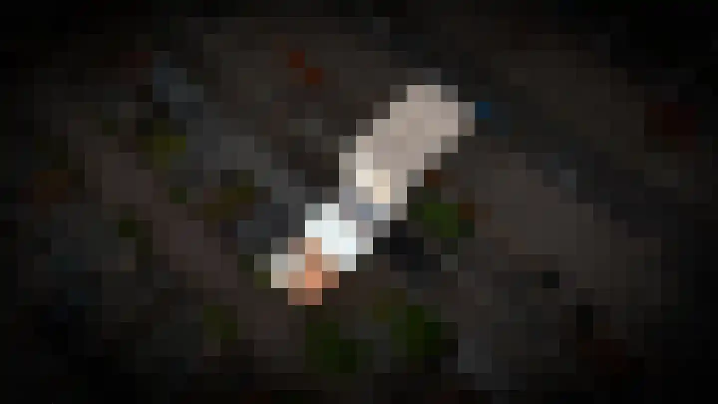 Eisenhowerlaan 55 Utrecht thumbnail 34