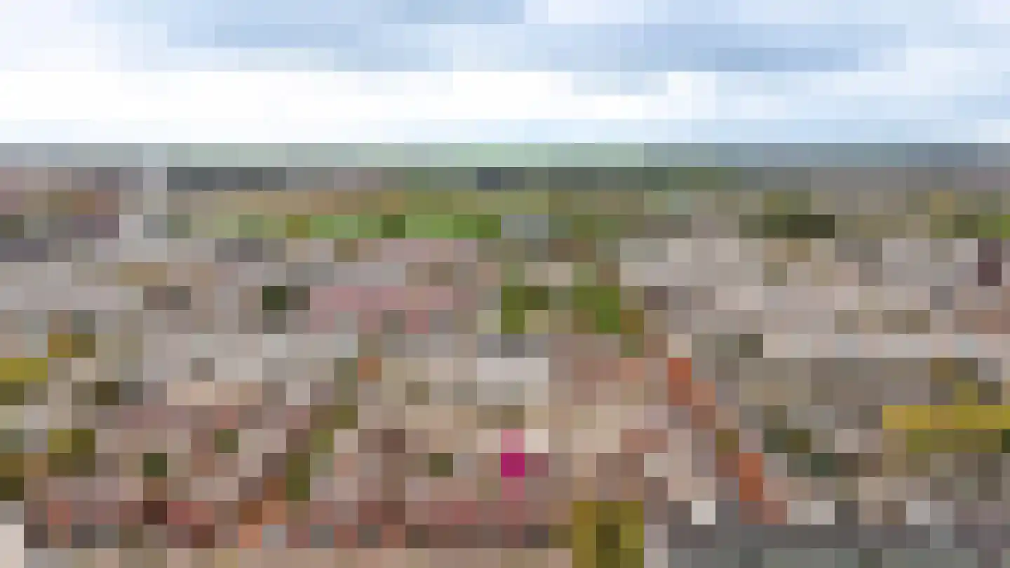 Eisenhowerlaan 55 Utrecht thumbnail 36
