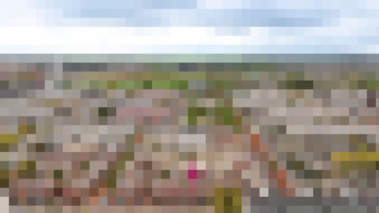 Eisenhowerlaan 55 Utrecht thumbnail 41