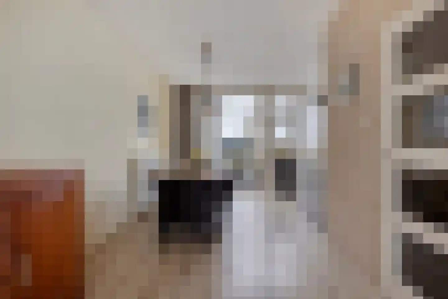 Eisenhowerlaan 58 Oude-Tonge thumbnail 19