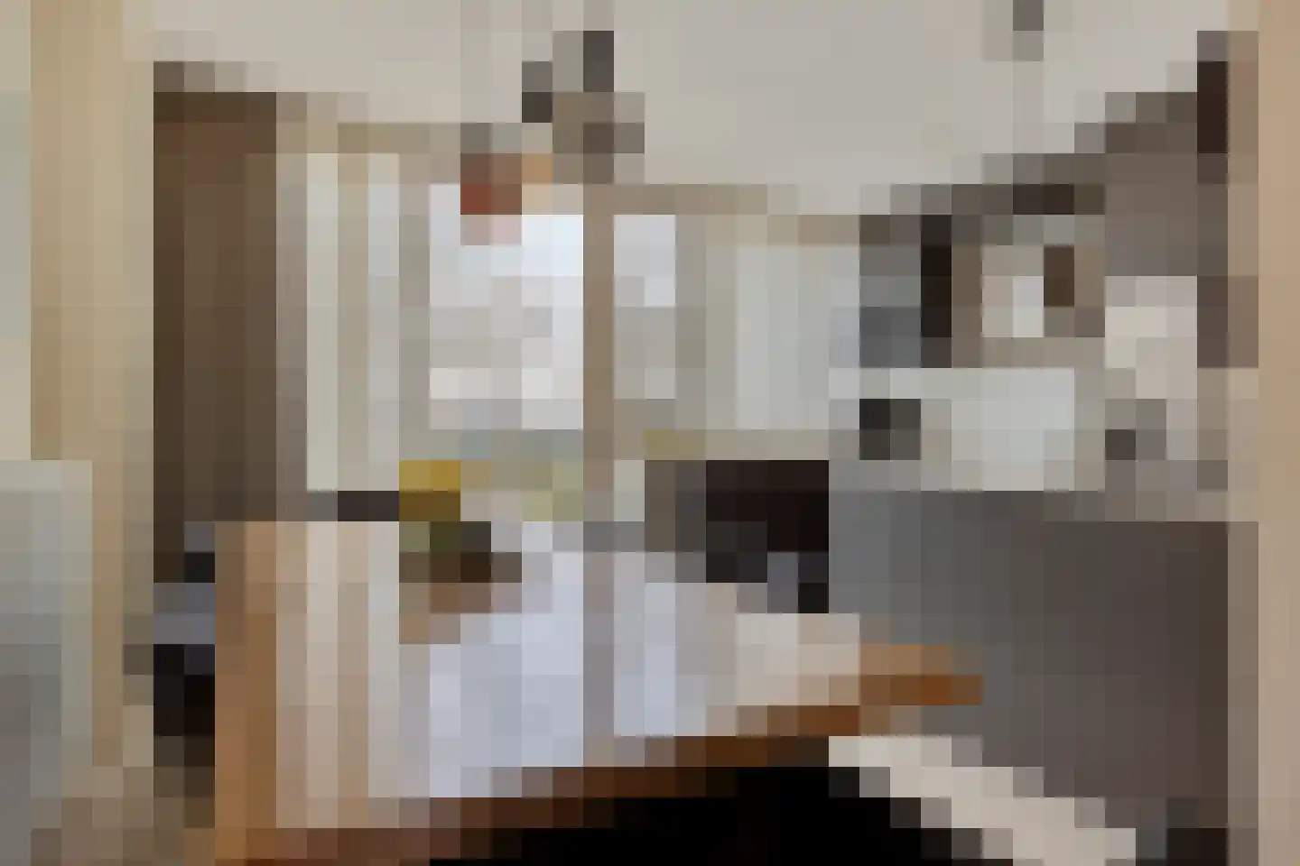 Eisenhowerlaan 58 Oude-Tonge thumbnail 20