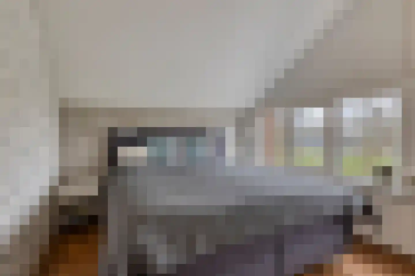Eisenhowerlaan 58 Oude-Tonge thumbnail 31