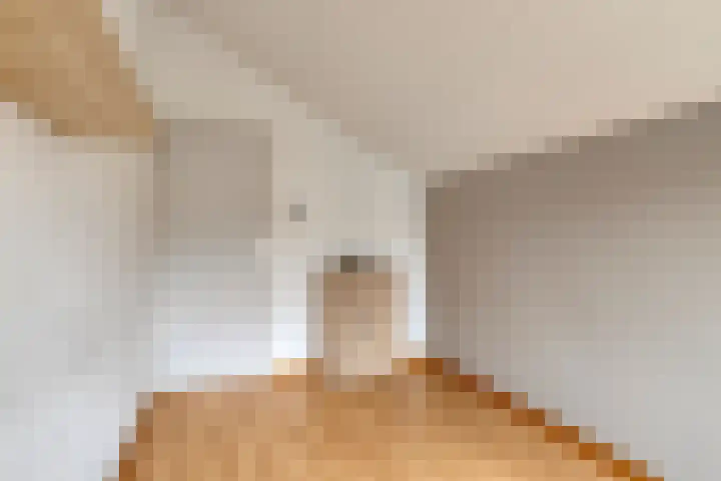 Eisenhowerlaan 58 Oude-Tonge thumbnail 36