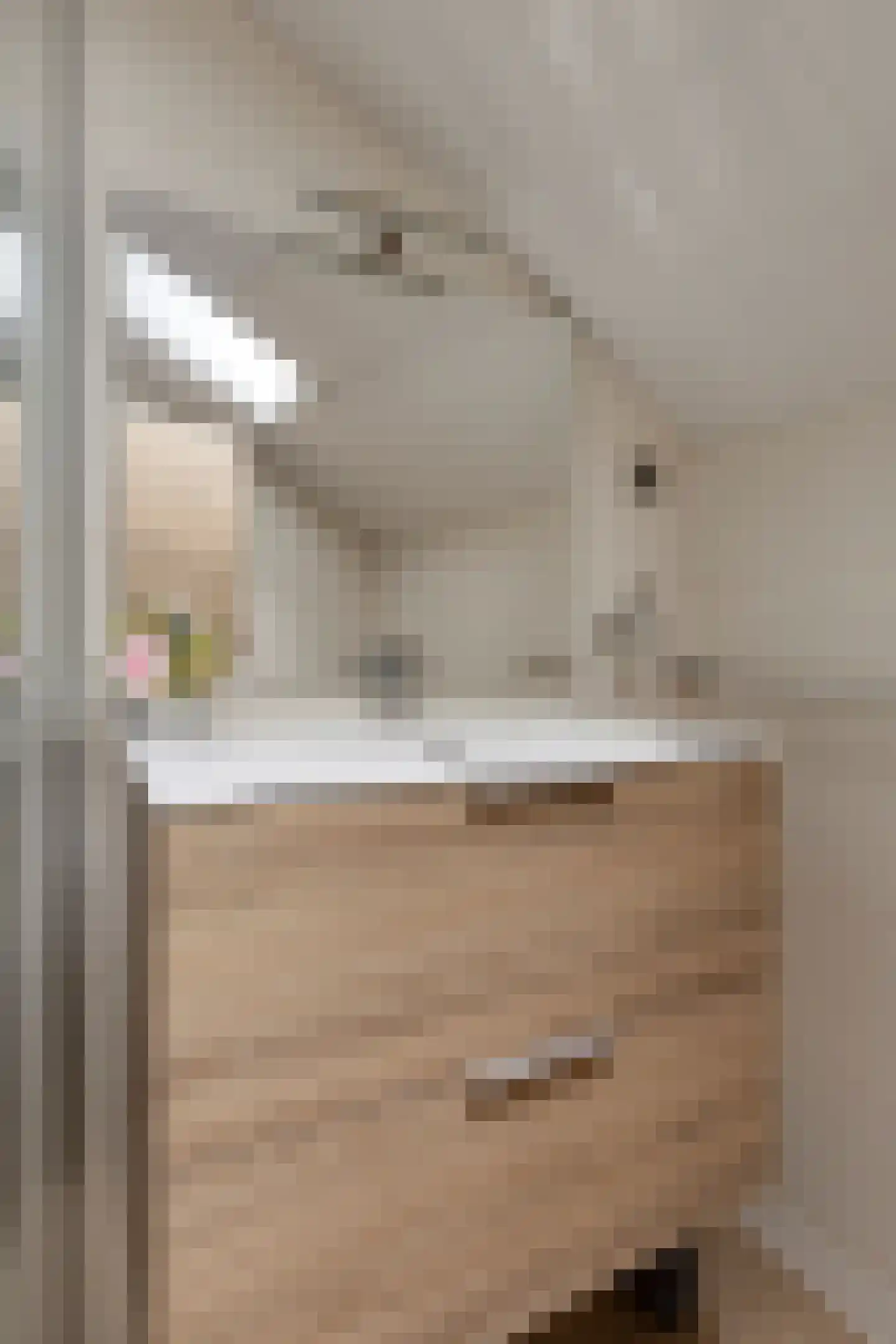 Eisenhowerlaan 58 Oude-Tonge thumbnail 39