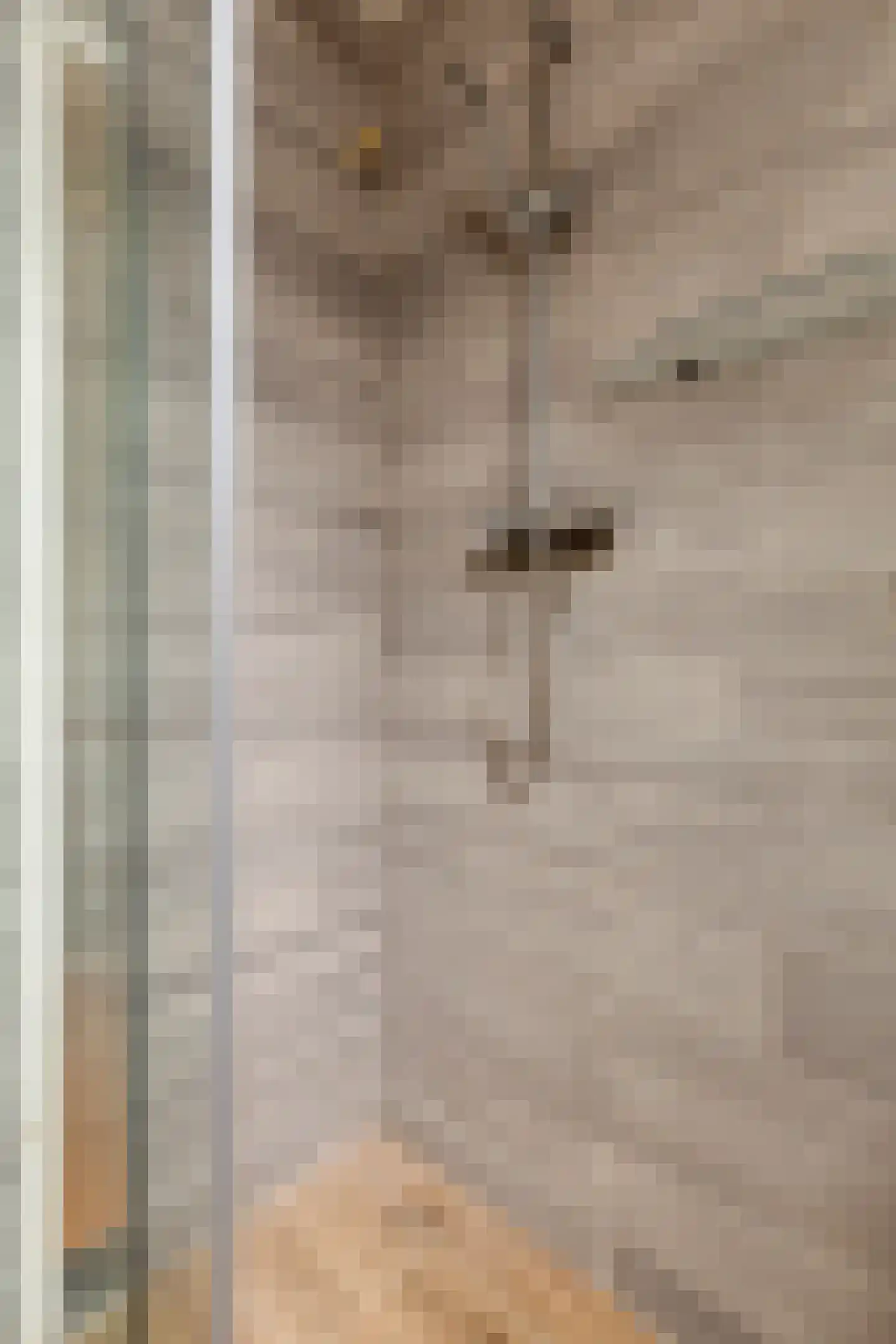 Eisenhowerlaan 58 Oude-Tonge thumbnail 40