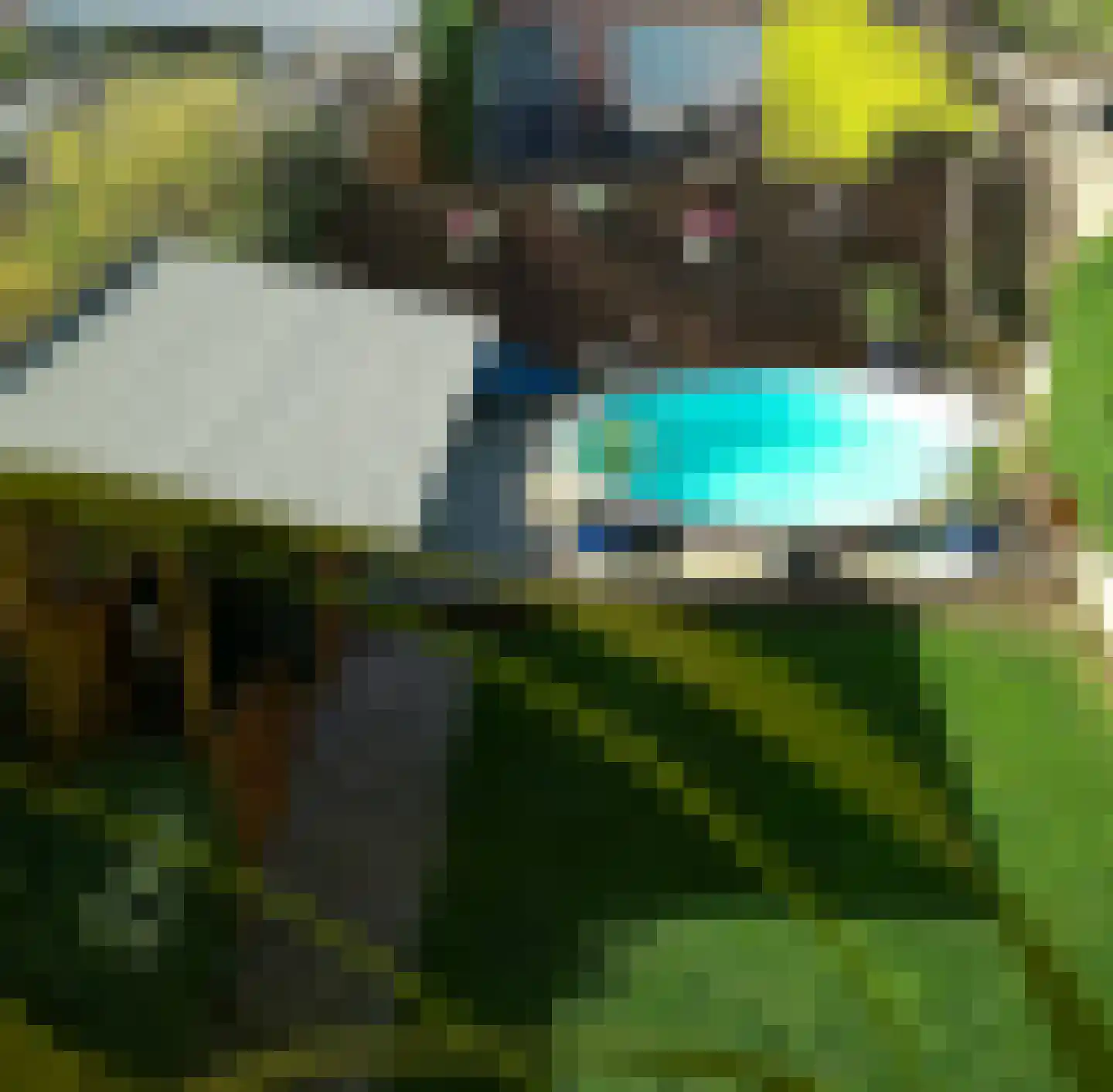 Eisenhowerlaan 58 Oude-Tonge thumbnail 44