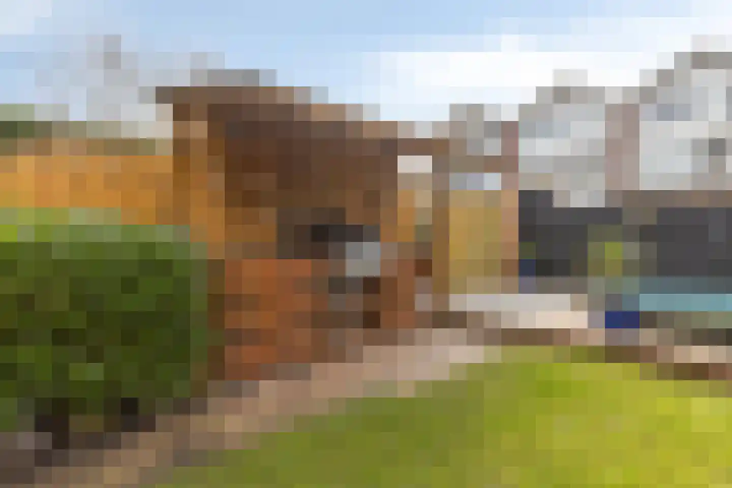 Eisenhowerlaan 58 Oude-Tonge thumbnail 45