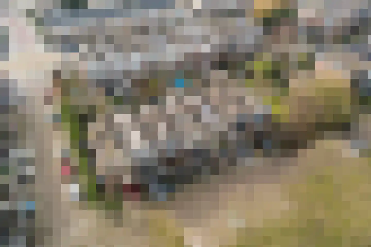 Eisenhowerlaan 58 Oude-Tonge thumbnail 5