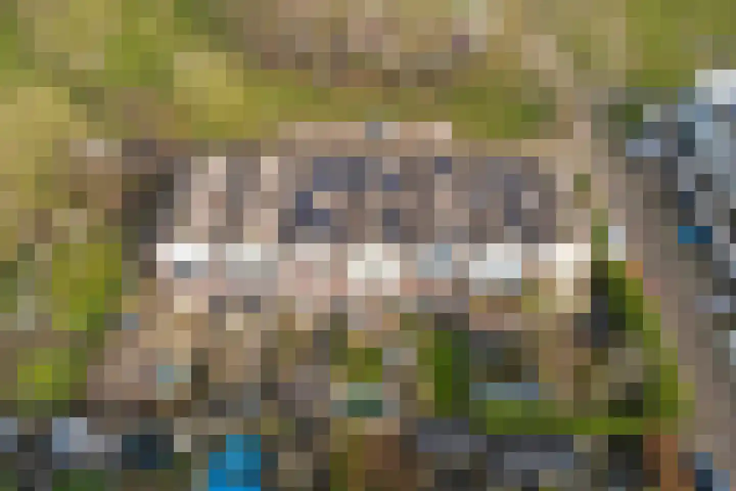 Eisenhowerlaan 58 Oude-Tonge thumbnail 52