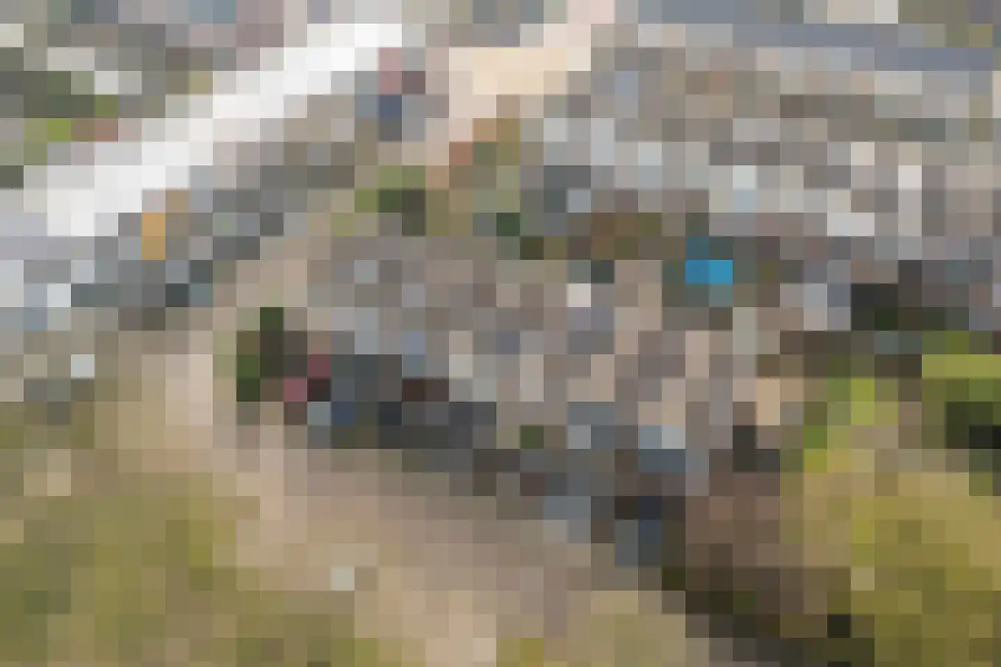 Eisenhowerlaan 58 Oude-Tonge thumbnail 55