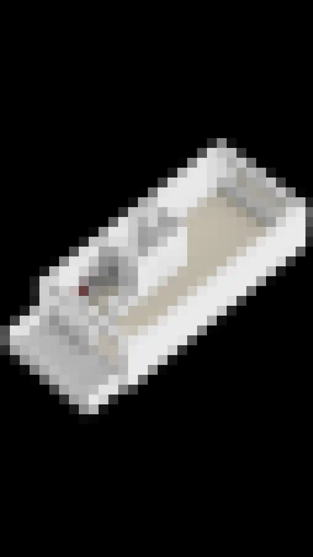 Eisenhowerlaan 58 Oude-Tonge thumbnail 62