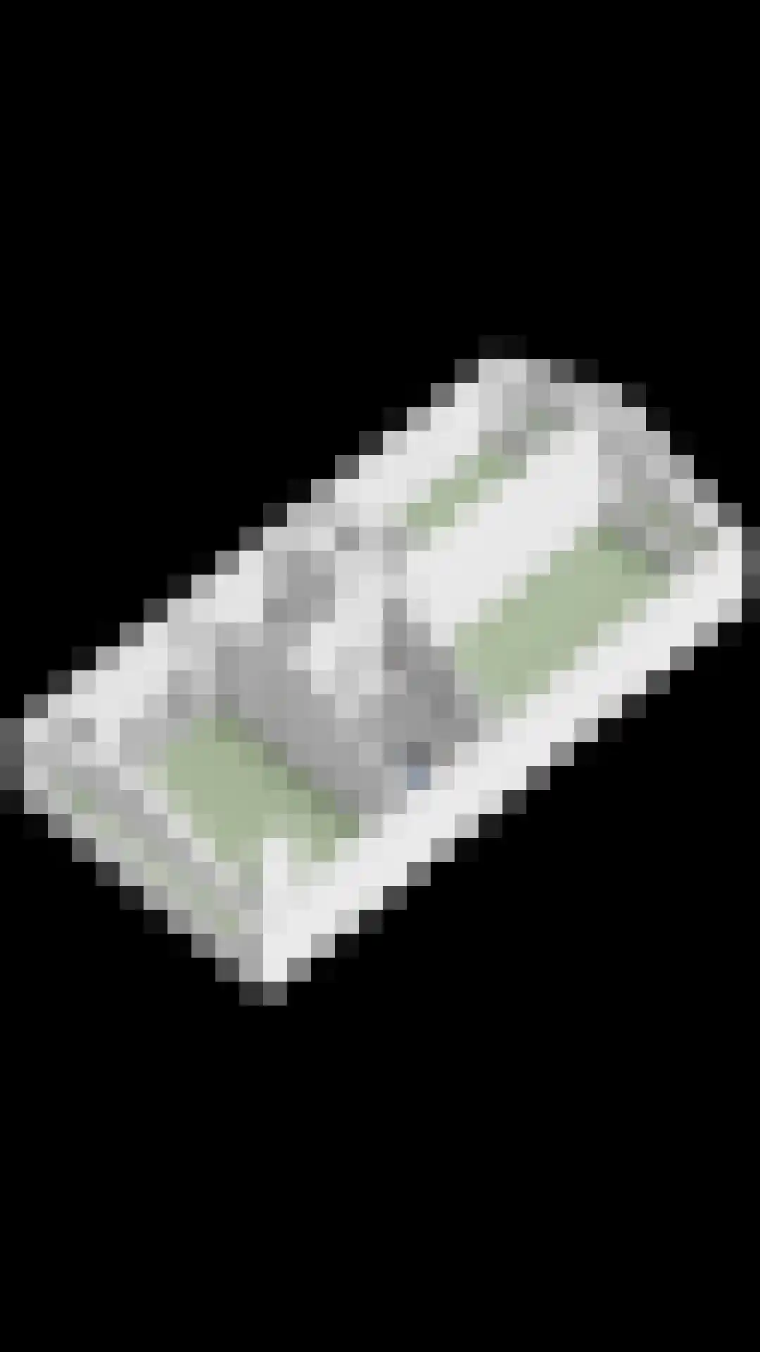 Eisenhowerlaan 58 Oude-Tonge thumbnail 63