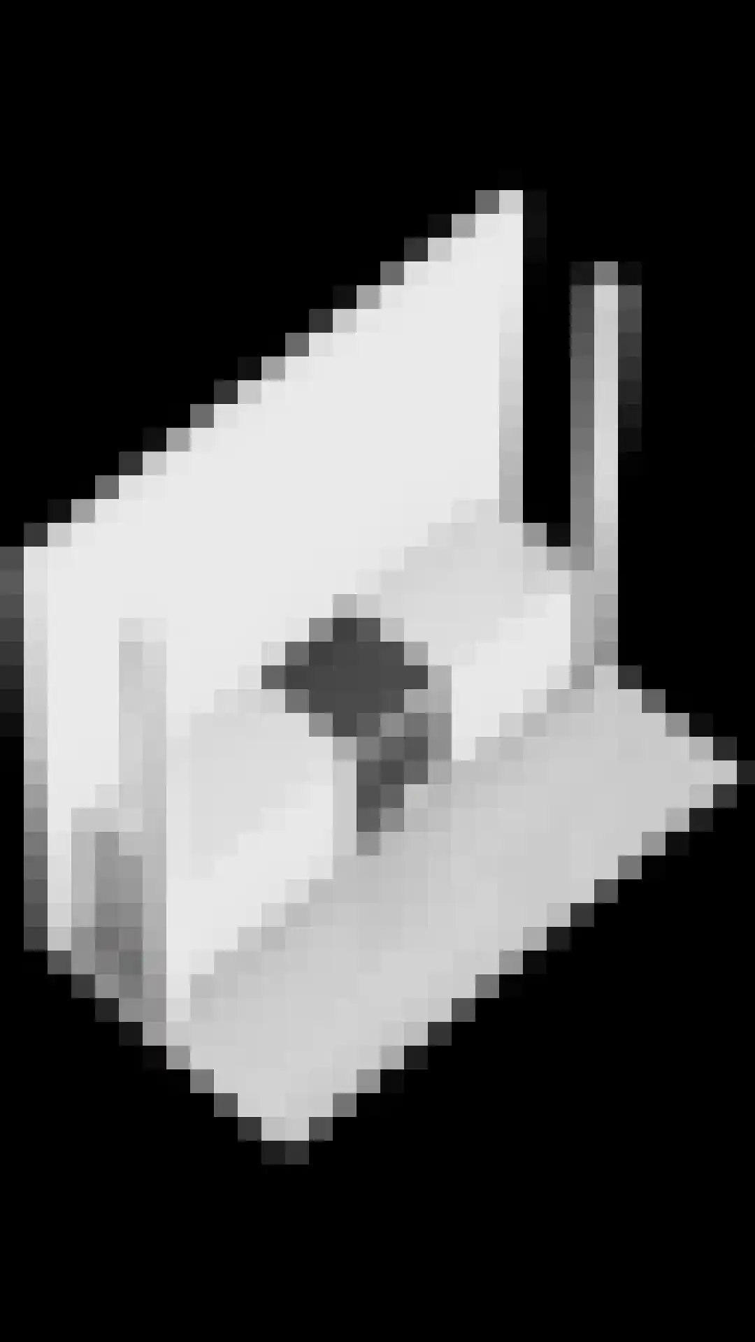 Eisenhowerlaan 58 Oude-Tonge thumbnail 64