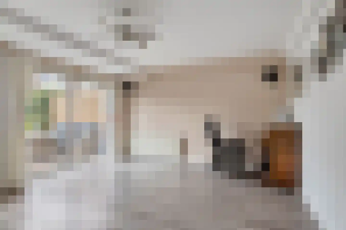 Eisenhowerlaan 58 Oude-Tonge thumbnail 9