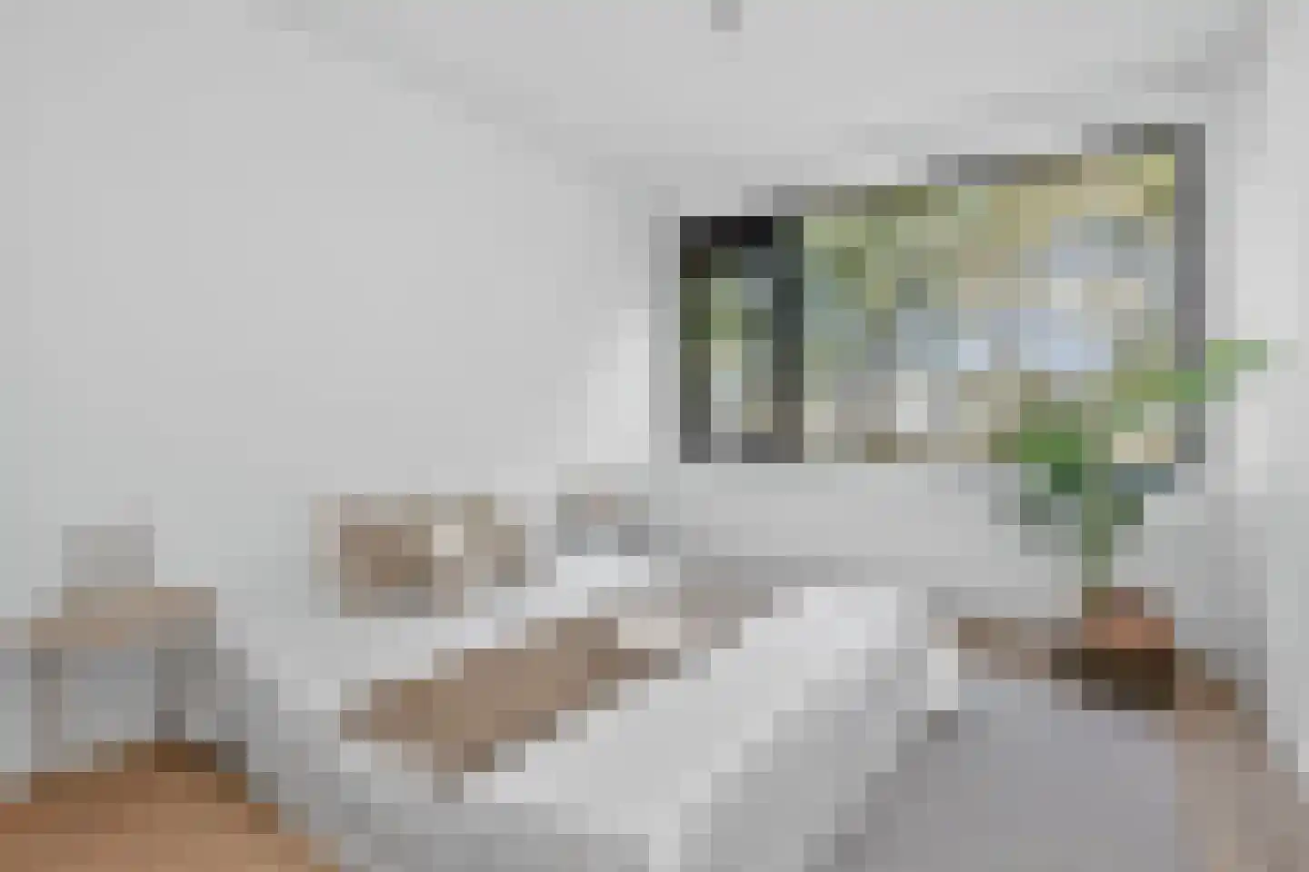 Eisenhowerlaan 62 Utrecht thumbnail 13