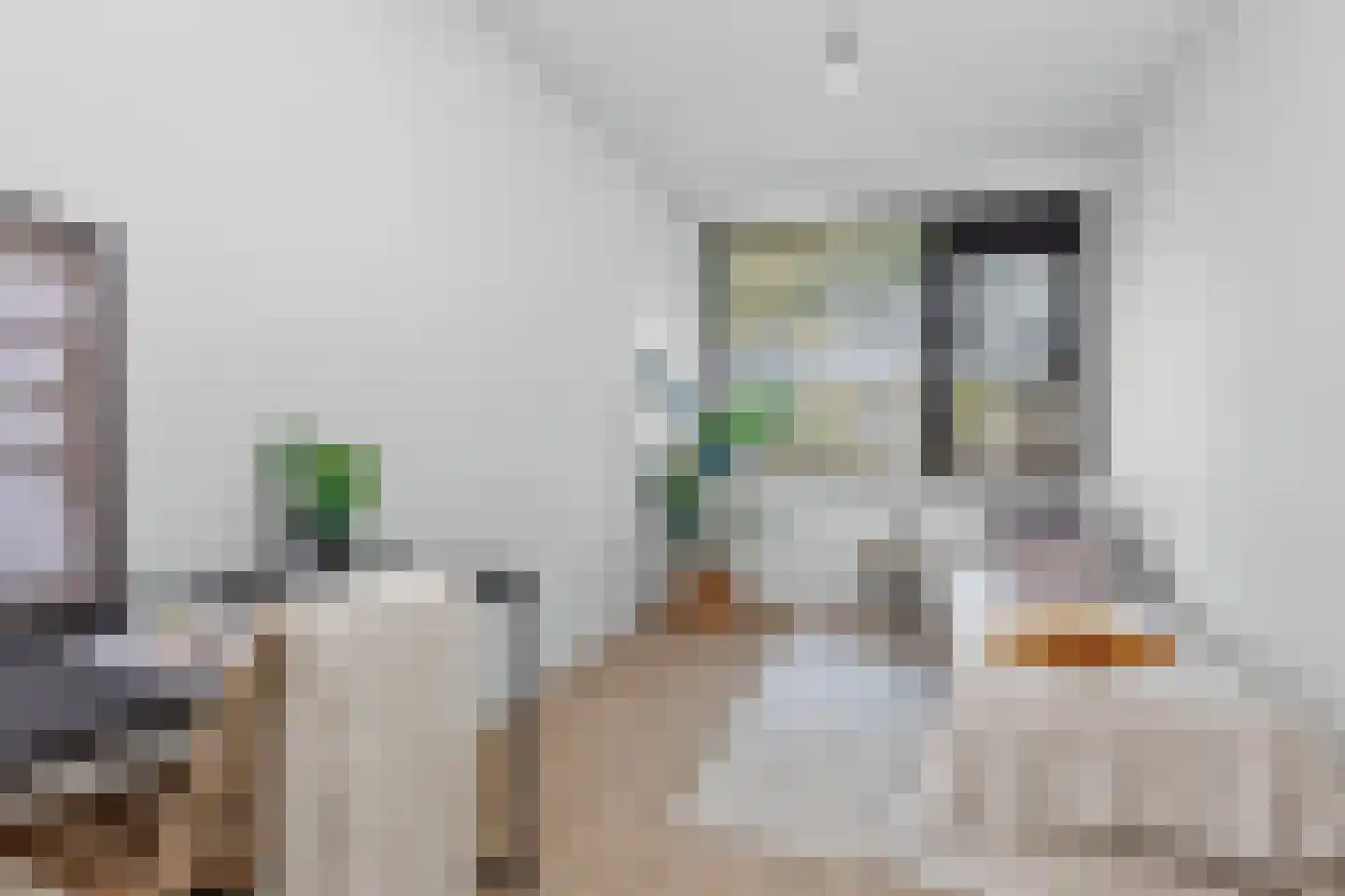Eisenhowerlaan 62 Utrecht thumbnail 14