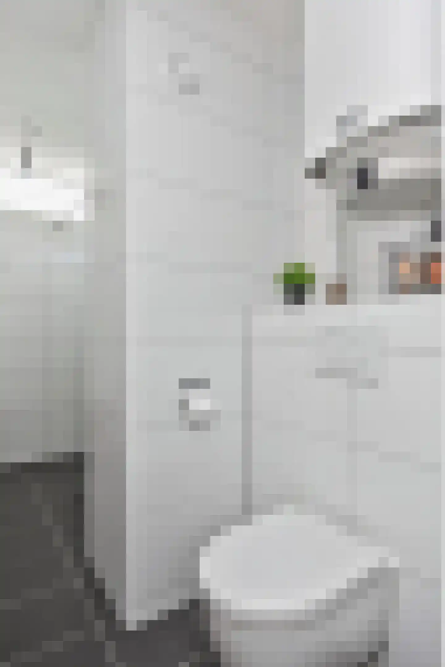 Eisenhowerlaan 62 Utrecht thumbnail 18