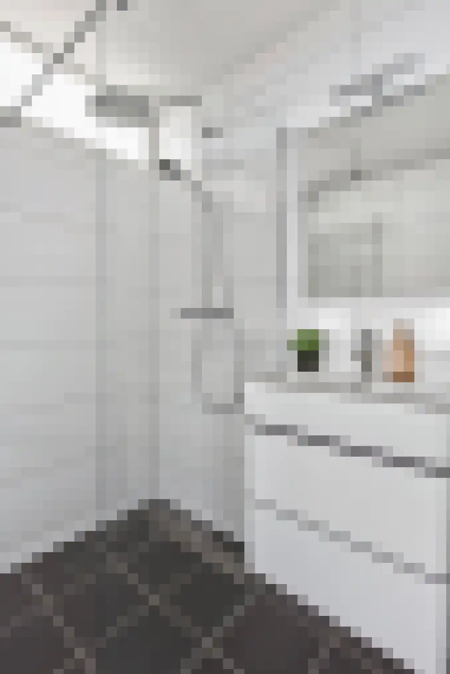 Eisenhowerlaan 62 Utrecht thumbnail 20