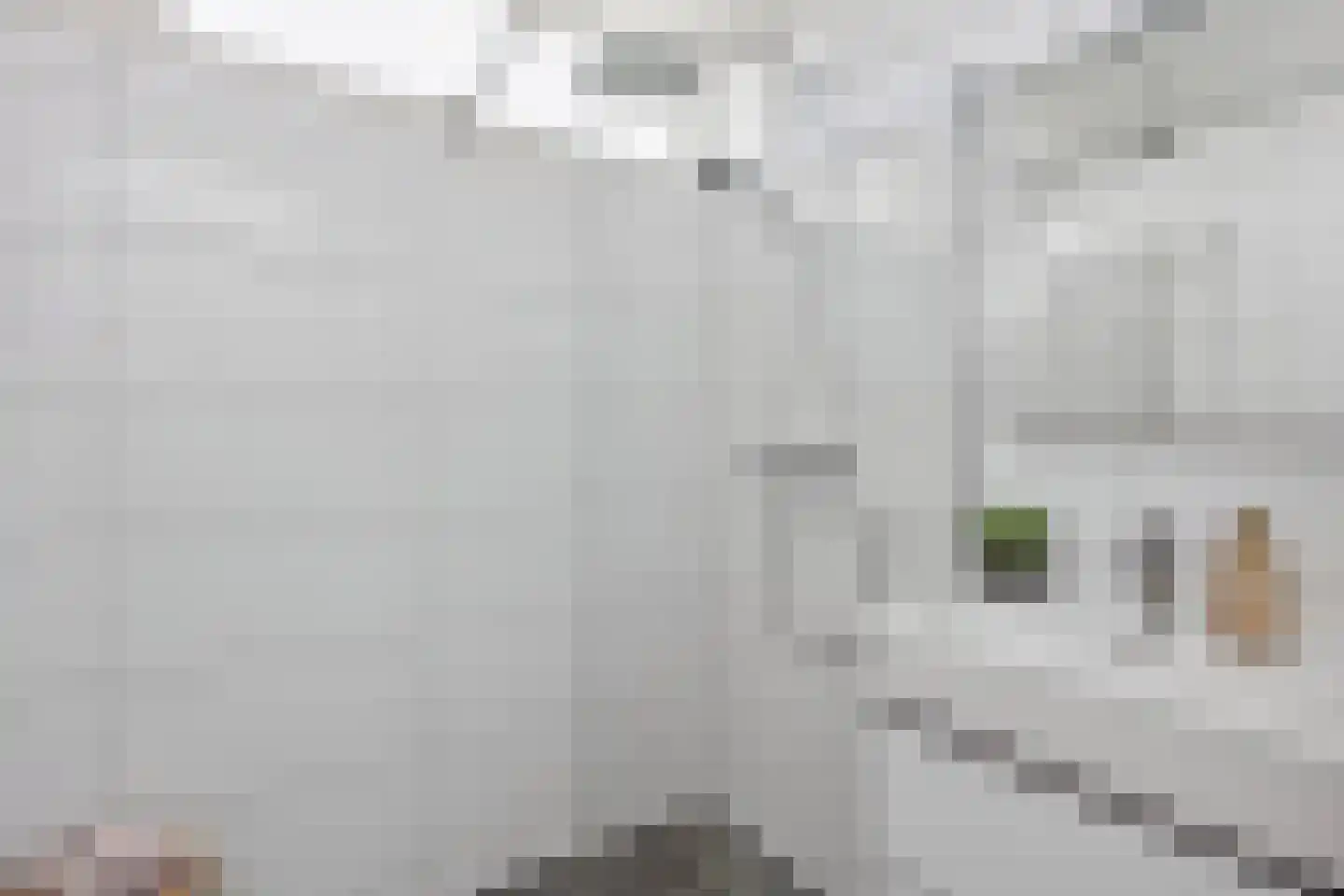 Eisenhowerlaan 62 Utrecht thumbnail 21