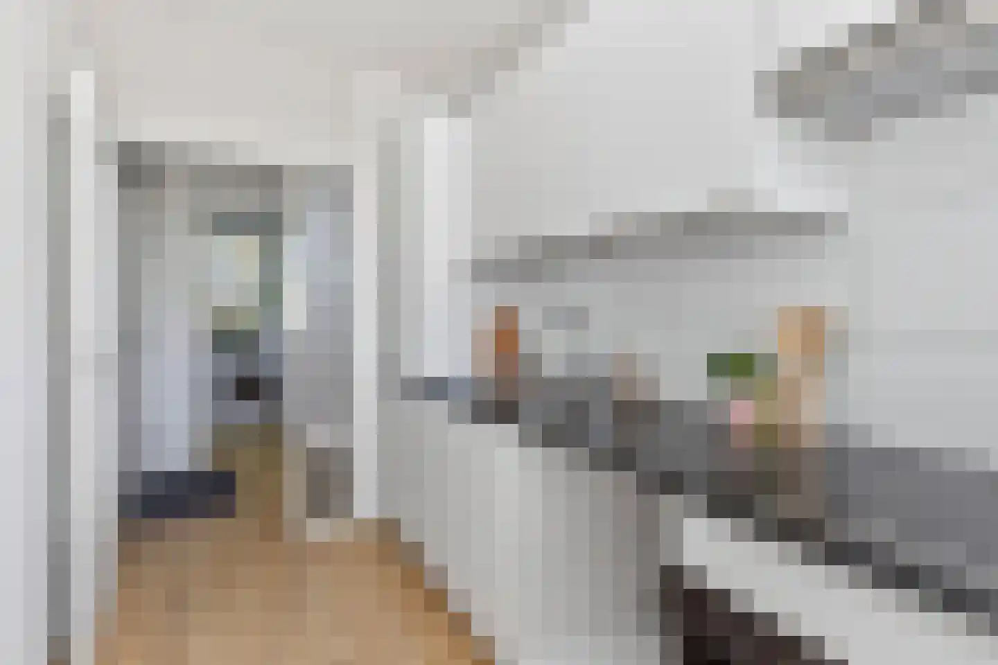 Eisenhowerlaan 62 Utrecht thumbnail 23