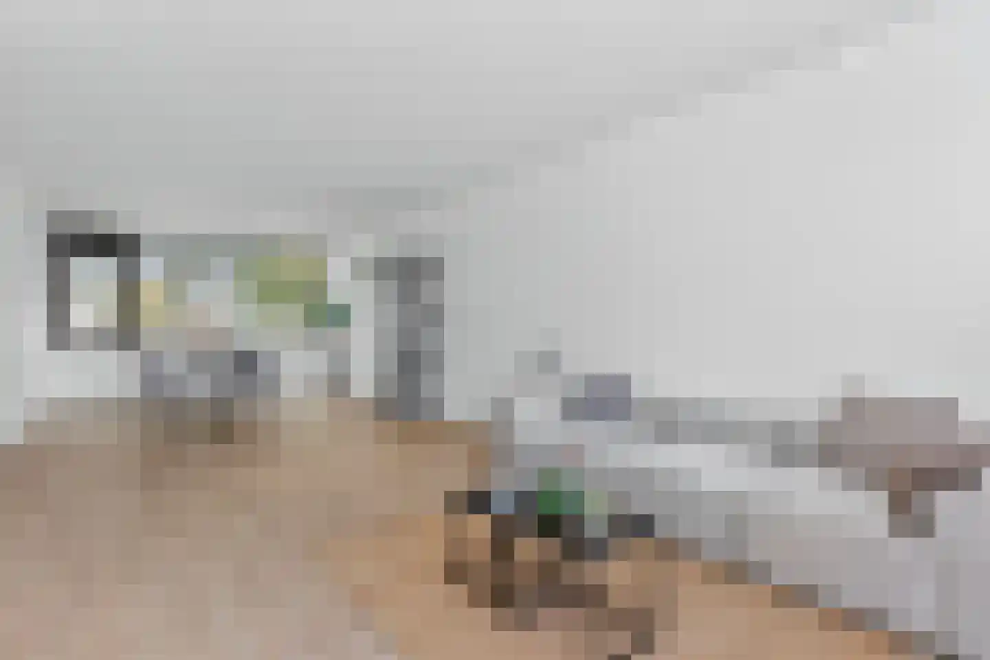 Eisenhowerlaan 62 Utrecht thumbnail 6