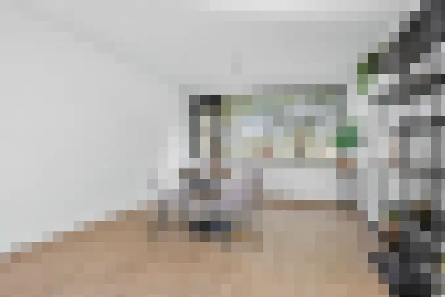 Eisenhowerlaan 62 Utrecht thumbnail 8