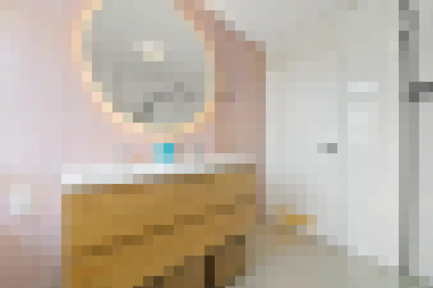 Eisenhowerlaan 63 Delft thumbnail 33