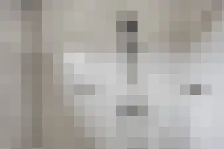 Eisenhowerlaan 8 Harderwijk thumbnail 16