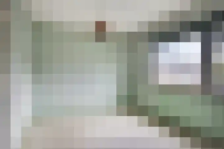 Eisenhowerlaan 8 Harderwijk thumbnail 17