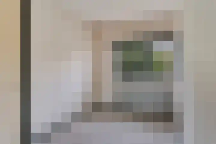 Eisenhowerlaan 8 Harderwijk thumbnail 19