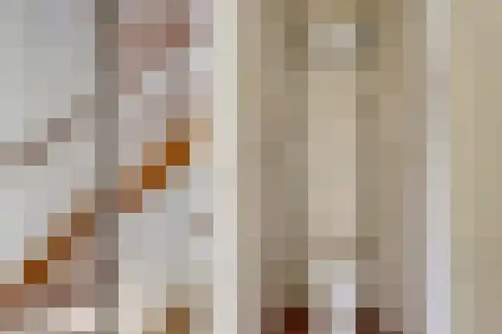 Eisenhowerlaan 8 Harderwijk thumbnail 20