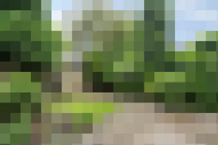 Eisenhowerlaan 8 Harderwijk thumbnail 27